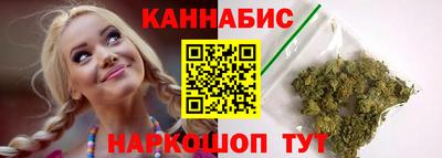 мдпв Кингисепп