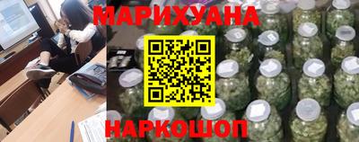 мдпв Кингисепп