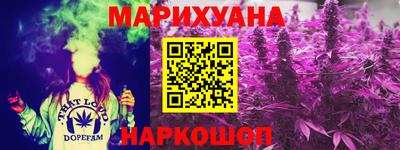 мдпв Кингисепп