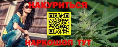 мдпв Кингисепп