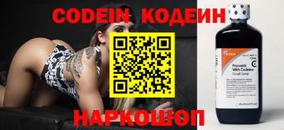 мдпв Кингисепп