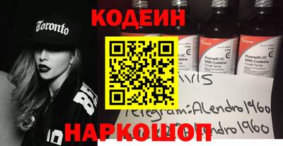 мдпв Кингисепп