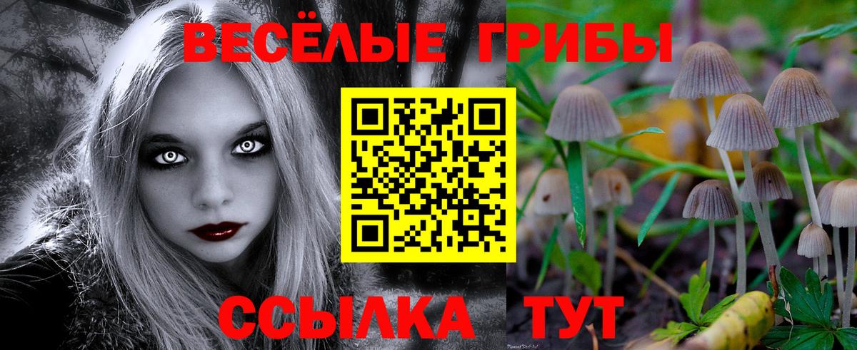 Галлюциногенные грибы мухоморы Карталы