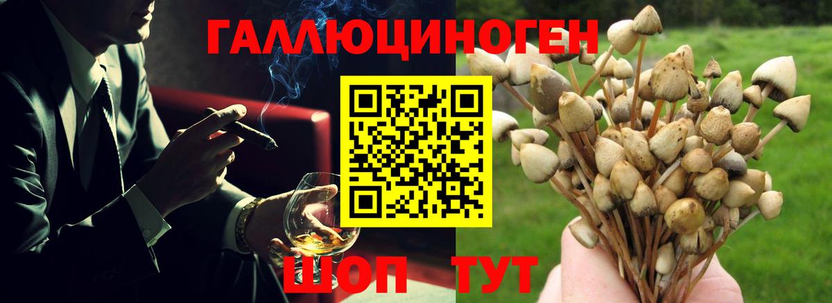 Псилоцибиновые грибы прущие грибы  Вход с VPN  Карталы 